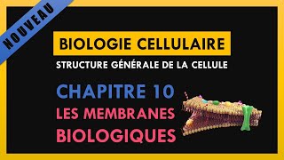 Structure générale de la cellule Chapitre 10 Les membranes biologiques [upl. by Arluene295]