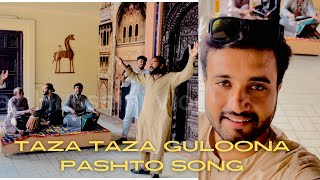 taza taza guloona pashto song dance performance  taza taza guloona pashto song  pashto song 2024 [upl. by Ised]