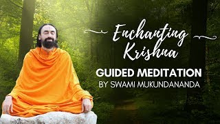 Meditation on enchanting Shree Krishna  Krishnas Pastime Meditation  Guided by Swami Mukundananda [upl. by Ahsinek136]