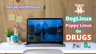 DogLinux A Puppy Linux On Steroids Or Drugs And Debian 11 [upl. by Kimbra]