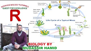 Protonema stage in the life cycle of Mosses Funaria [upl. by Pazice801]