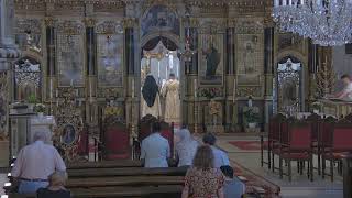 Episcopia GrecoCatolică de Oradea Live Stream [upl. by Pansir557]