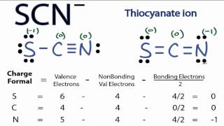 SCN Lewis Structure  How to Draw the Lewis Structure for SCN Thiocyanate Ion [upl. by Aihsatsan]