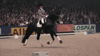 Totilas and Edward Gal  KWPN Hengstenkeuring 2010 Den Bosch HD 1080i [upl. by Justina748]