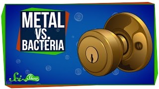 Metal vs Bacteria [upl. by Eiznikcm]