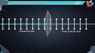 16  Class 12  Physics  Wave Optics  Polarisation [upl. by Ciredec754]