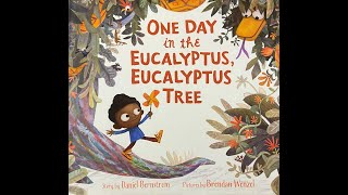 One Day in the Eucalyptus Eucalyptus Tree by Daniel Bernstrom [upl. by Eirrej]