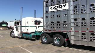 Stevens Inc Peterbilt 379 And Cody Cattle Pot Parking At TFK 2013 [upl. by Esyle]