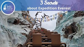 3 Secrets About Expedition Everest at Disneys Animal Kingdom Theme Park [upl. by Lewls]