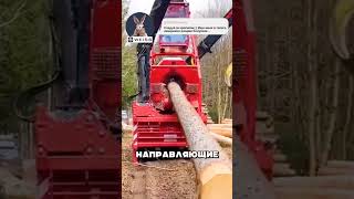 Невероятная работа шредеров 😲🔥🌳 [upl. by Nathanael278]