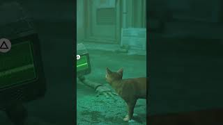 🙀 STRAY MOVIE GAMEPLAY [upl. by Ahsined]