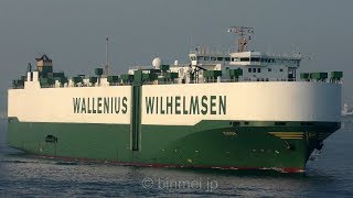 MANON  Wallenius Wilhelmsen Logistics vehicles carrier [upl. by Arahsak806]