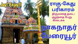 Peraiyur NaganathaSwami Kovil  Sarpa Dosha Nivaranam  Ragu Kaethu Sthalam  Thirumanathadai [upl. by Nnylsaj329]