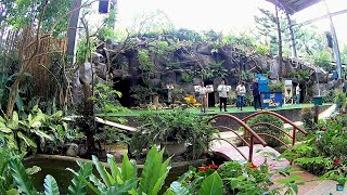 Ocean Park Cebu SM Seaside Bird Show Wide Shot [upl. by Regdirb429]