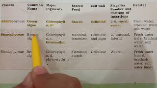 Comparison between Chlorophyceae Phaeophyceae and Rhodophyceae Ch 3 ClassXI [upl. by Enirok]
