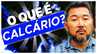 CALCÁRIO O QUE É COMO USÁLO  Entenda tudo sobre Calcário e Como Utilizálo [upl. by Llorre]