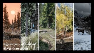 Skyrim SE  ENB Presets Comparison [upl. by Reibaj]