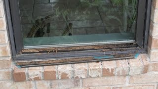 Repair Pella Window rot [upl. by Smiga]