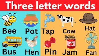 Three letter words preschool learning Three letter words in english 3 letter words with pictures [upl. by Hegarty531]