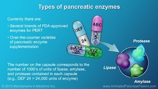 Understanding Nutrition and the Role and Benefits of PERT [upl. by Alpert]