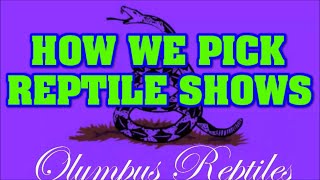 How we pick our REPTILE SHOWS [upl. by Illa]