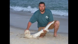 Assateague Island camping and surf fishing [upl. by Kaz]