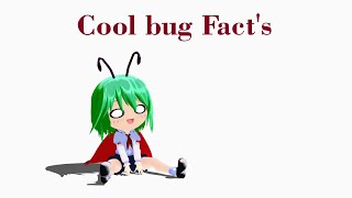 Cool Bug Facts [upl. by Thora225]