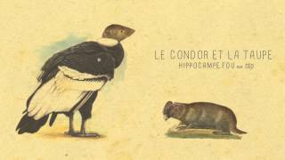 07  LE CONDOR ET LA TAUPE Hippocampe Fou feat céo [upl. by Rose]