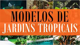 JARDIM TROPICAL  IDEIAS PARA SE INSPIRAR [upl. by Stodder39]