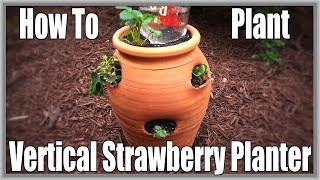 How To Plant Vertical Strawberry Planter [upl. by Eioj531]