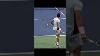 Top5 Insane Tennis Shot 볼수록 소름돋는 샷 Top5 federer monfils alcaraz coevas dimitrov [upl. by Mil]