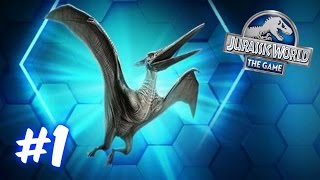 Pteranodon Arena ShowcaseJurassic WorldThe Game Ep 1 [upl. by Ainollopa]