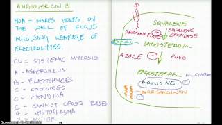 Easy Ways to Remember Amphotericin B [upl. by Oruntha]