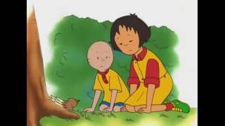 Caillou FRANÇAIS  3 ÉPISODES TRÈS SPÉCIAUX  conte pour enfant  Caillou en Français [upl. by Eldora]