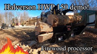 Halverson HWP 150 skid steer firewood processor CCEQUIPMENT demo [upl. by Bakemeier973]