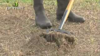 Planter un arbre et arbuste  les bons outils de jardinage  Truffaut [upl. by Epuladaugairam]