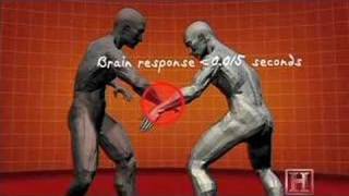 Human Weapon  Krav Maga  360 Defense [upl. by Aciria]