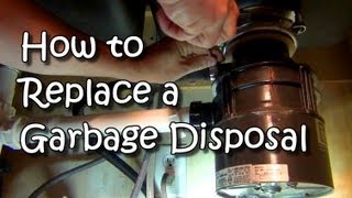 How to Replace a Garbage Disposal [upl. by Ynneb]