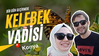 Kelebek Vadisi Konya Vlog Dünyanın En İlginç Kelebekleri [upl. by Sloatman]