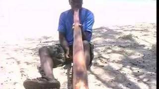 Special promotion Free Memawuy didgeridoo [upl. by Thormora]