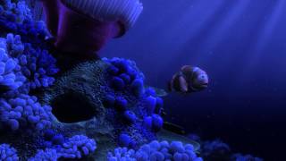 Finding Nemo  quotNemo Eggquot scene in Beautiful HD [upl. by Tuneberg]