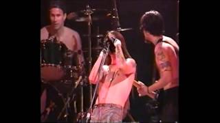 RHCP Warped Live at Madison Square Garden [upl. by Lepine]