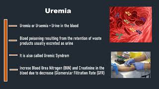 Uremia [upl. by Morty]