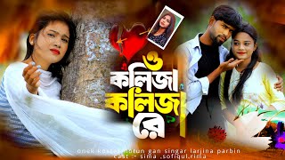 ও কলিজা কলিজা রে  o kolija kolija re  larjina parbin  o kolija kolija re gaan  ns music company [upl. by Surovy]