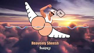 Dubskie  Heavenly Sheesh Sound Effect TikTok Remix [upl. by Miharba]