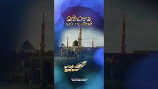 ഉമ്മു അമ്മാറ islam trending viralshorts duet ishqemuhammadﷺ feel peace nabi kerala [upl. by Eeral]