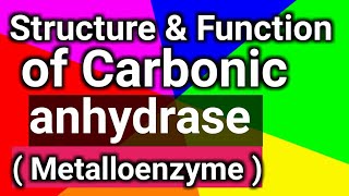 structure amp function of Carbonic anhydrase Metalloenzyme [upl. by Nawk]