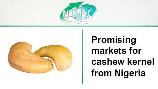 Promising Markets  Cashew Kernels from Nigeria [upl. by Sayce989]