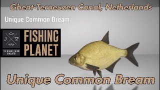 Unique Common Bream  GhentTerneuzen Canal Netherlands  Fishing Planet Guide [upl. by Gorski354]