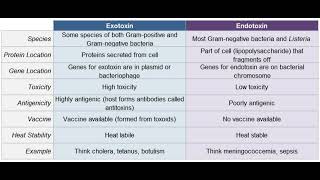 Endotoxins and Exotoxins  bacteria  noorpharmacylectures8513 [upl. by Linea785]